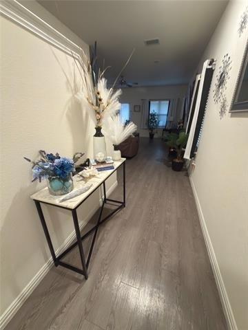 4953 Ben Casey Court - Photo 2