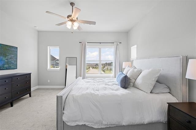 14428 Balmoral Place - Photo 15