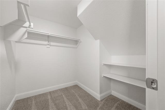 1716 Elise Lane - Photo 25