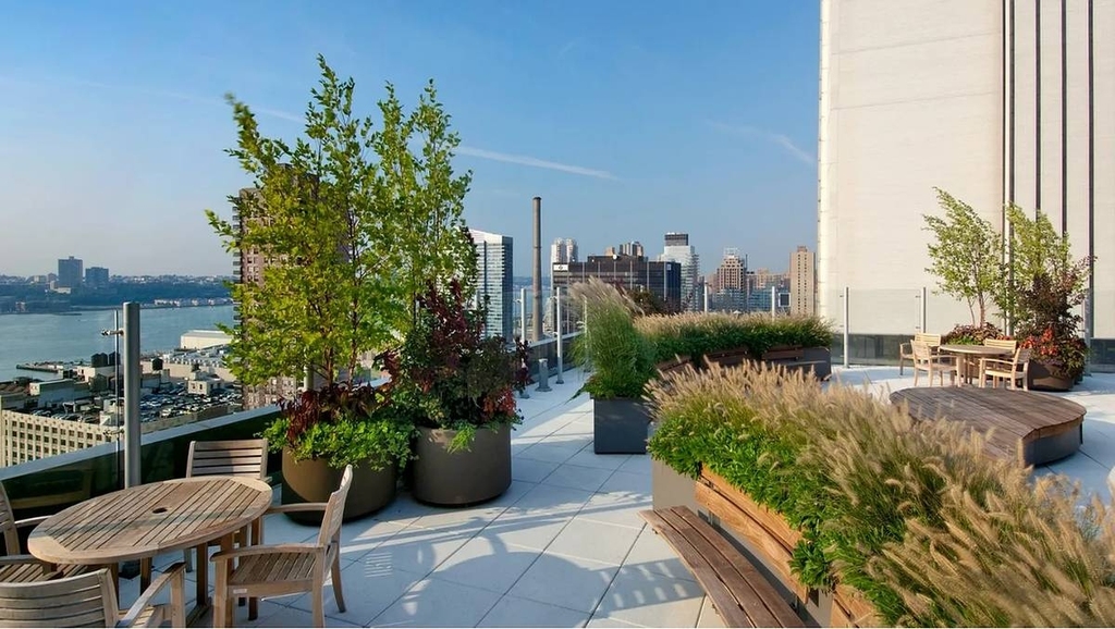 West 52nd Street - Photo 12