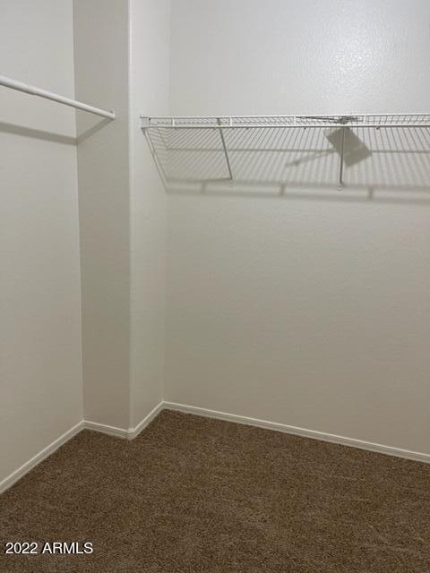 5569 E Lush Vista View - Photo 12