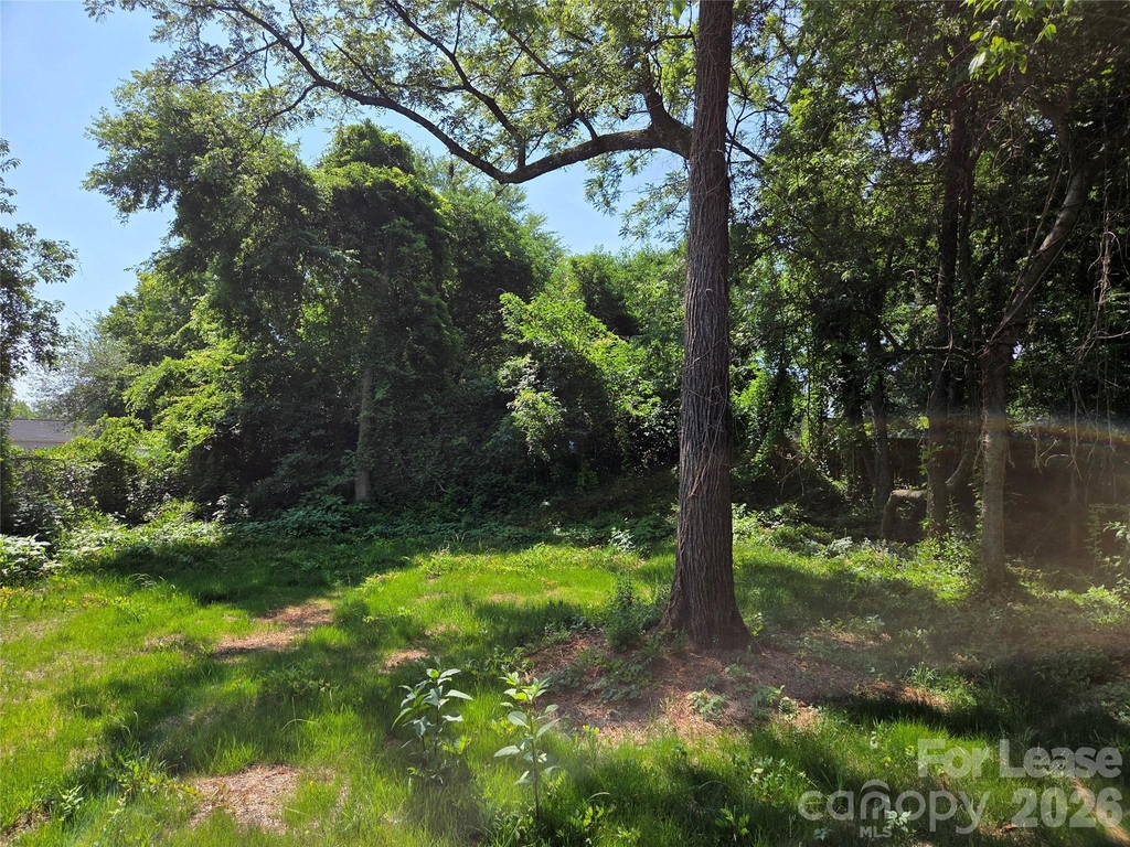 219 Green Drive Sw - Photo 10