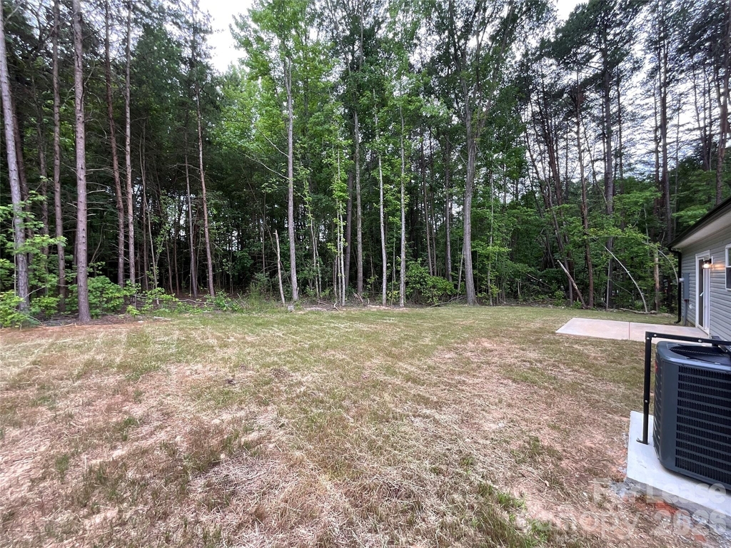 294 Zion Church Road - Photo 17
