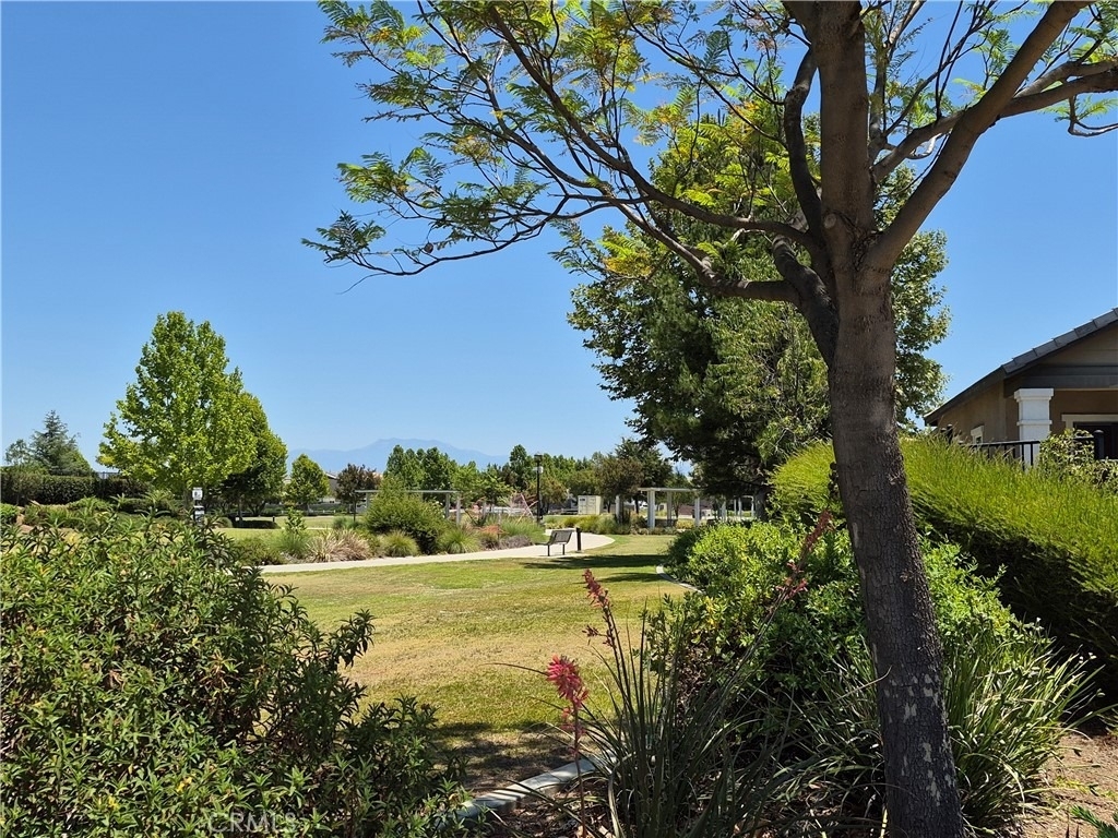 31810 Ives Court - Photo 29