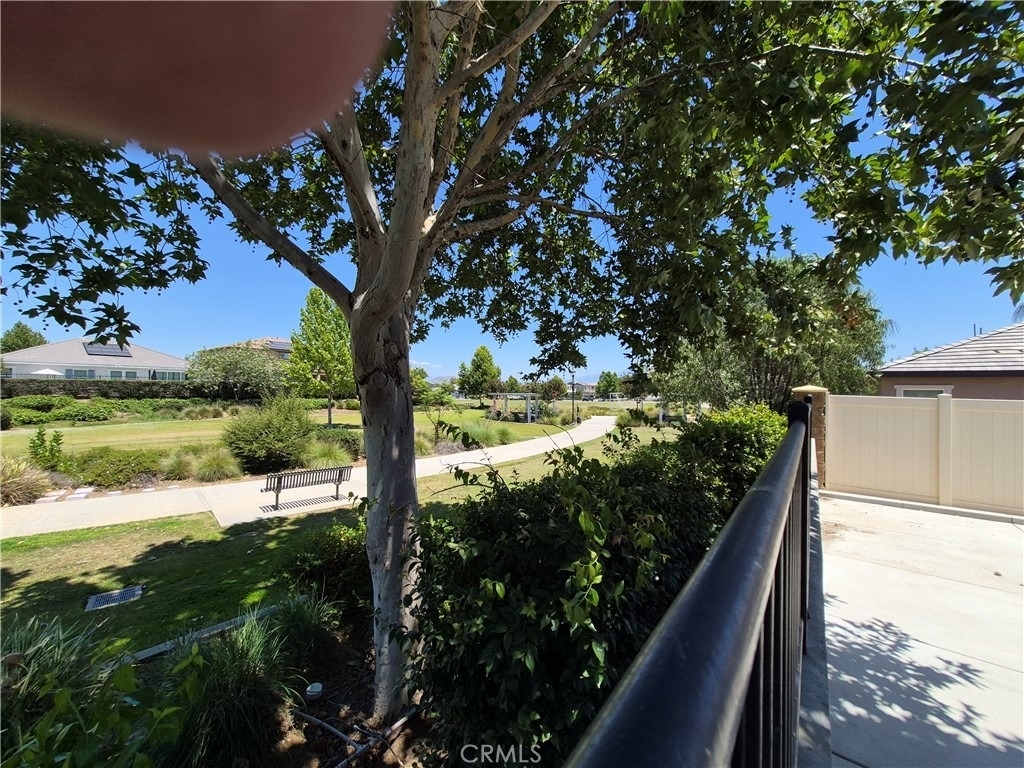 31810 Ives Court - Photo 24