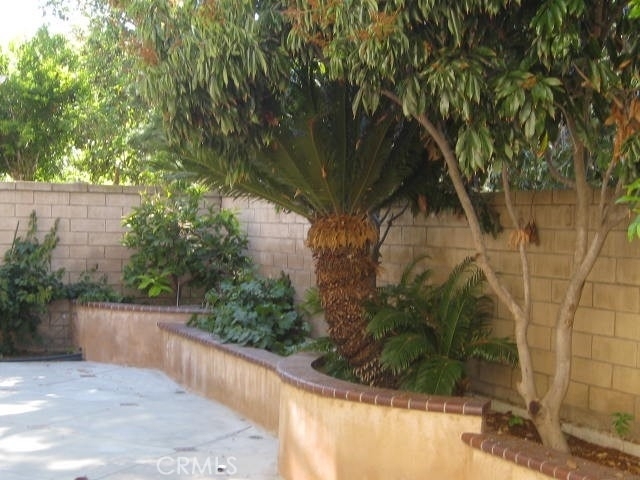 19 Coriander - Photo 3