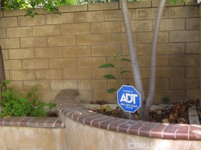 19 Coriander - Photo 5