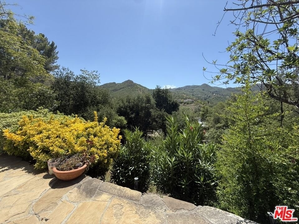 30473 Mulholland Hwy - Photo 7