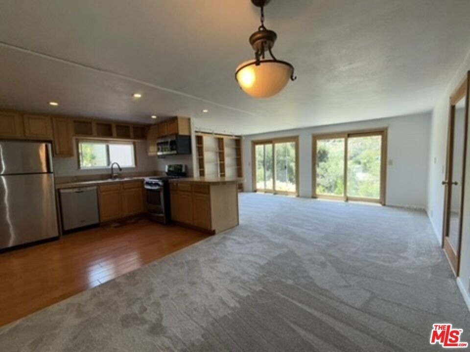 30473 Mulholland Hwy - Photo 12