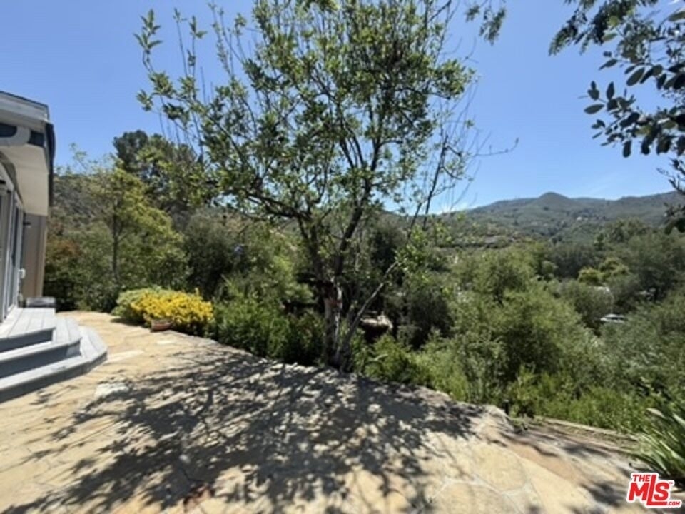 30473 Mulholland Hwy - Photo 3
