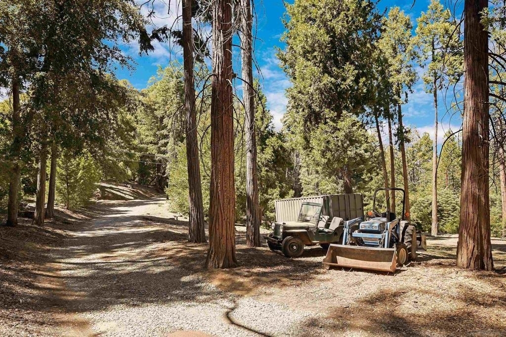 33125 Canfield Road - Photo 25