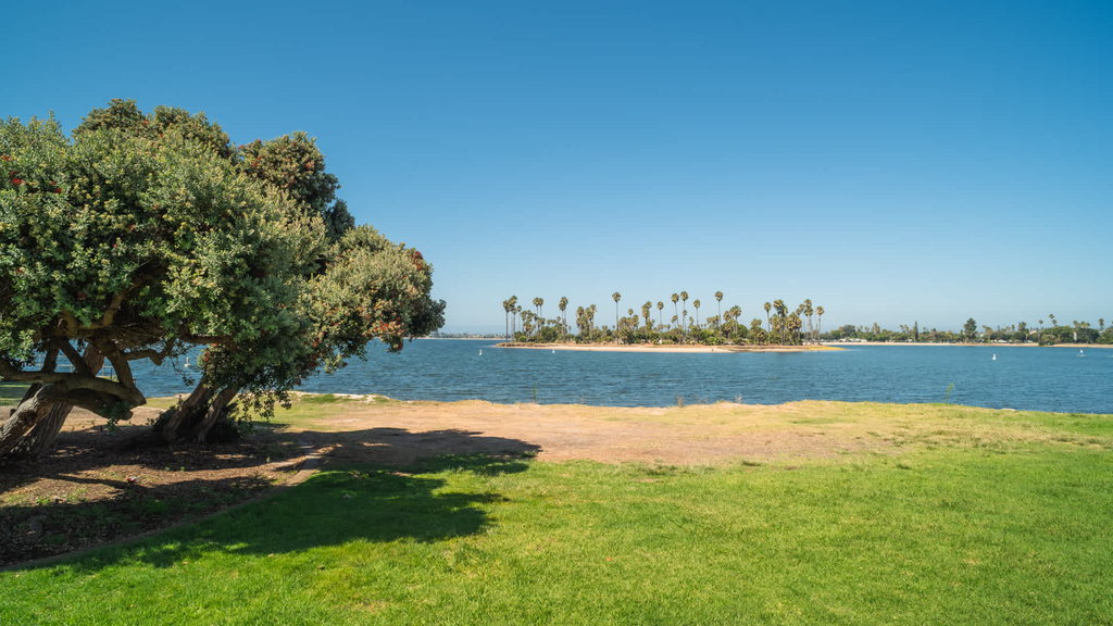 4275 Mission Bay Drive - Photo 33