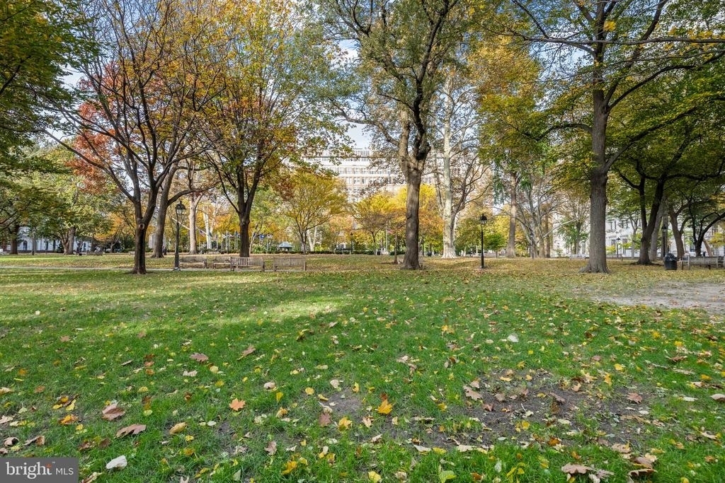 604 S Washington Square - Photo 17