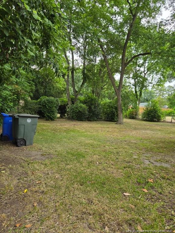 117 John Street - Photo 2