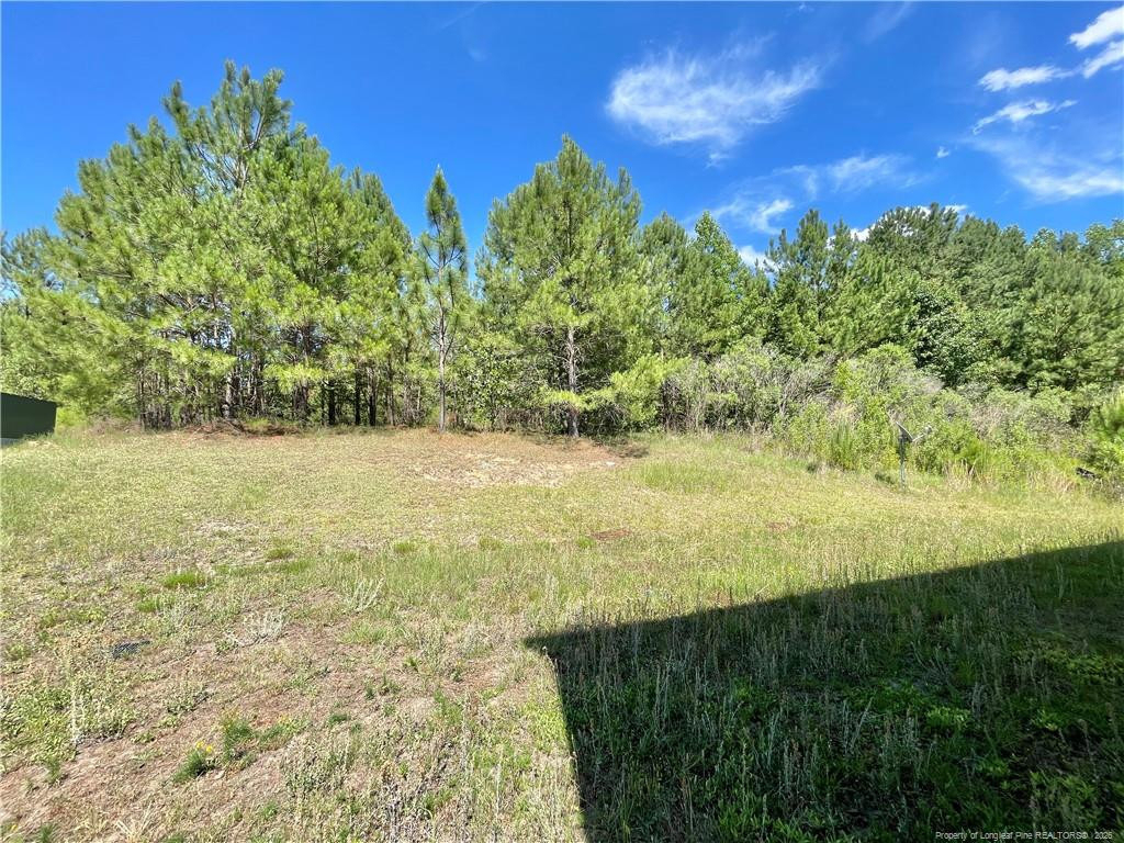 92 Hallow Oak Street - Photo 9