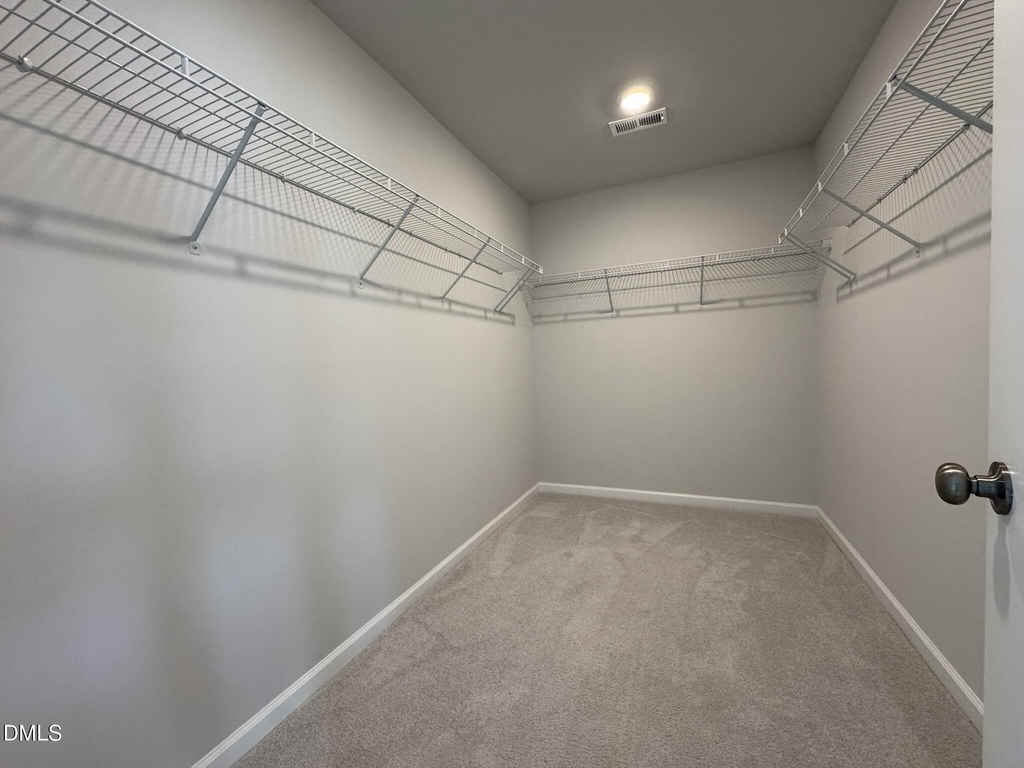 375 Garden Vine Trail - Photo 19