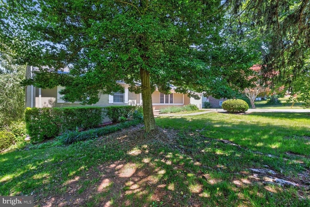 23017 Timber Creek Lane - Photo 5