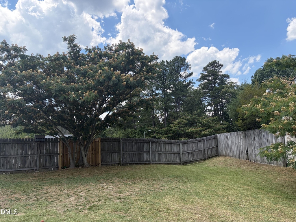 7229 Brighton Hill Lane - Photo 11