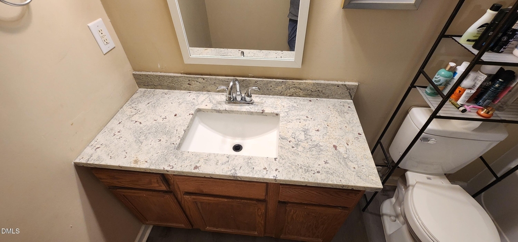 7229 Brighton Hill Lane - Photo 10