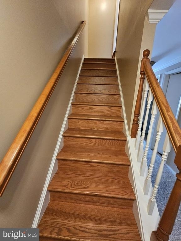 10218 Arizona Circle - Photo 12