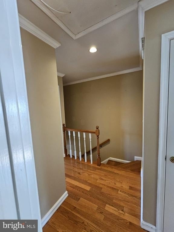 10218 Arizona Circle - Photo 13