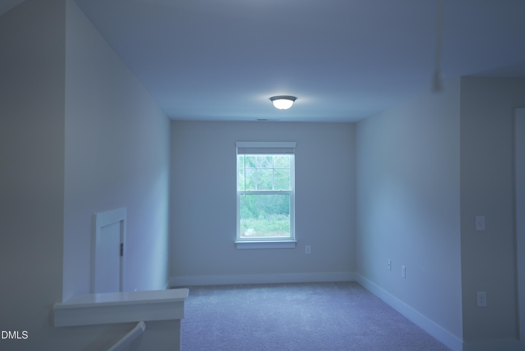 919 Hillman Lane - Photo 44