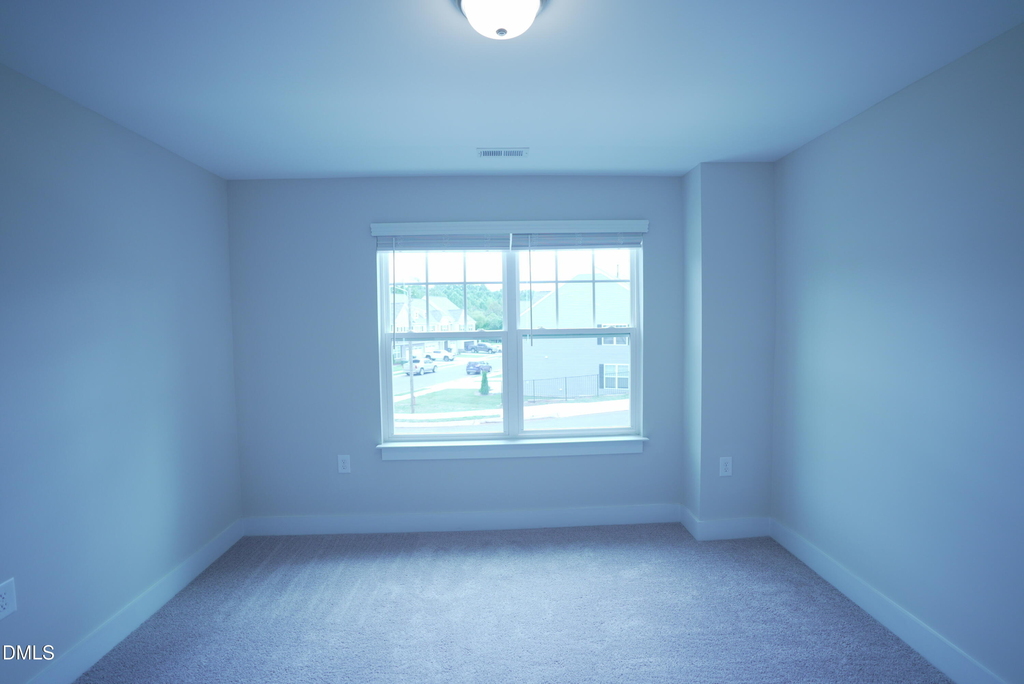 919 Hillman Lane - Photo 29