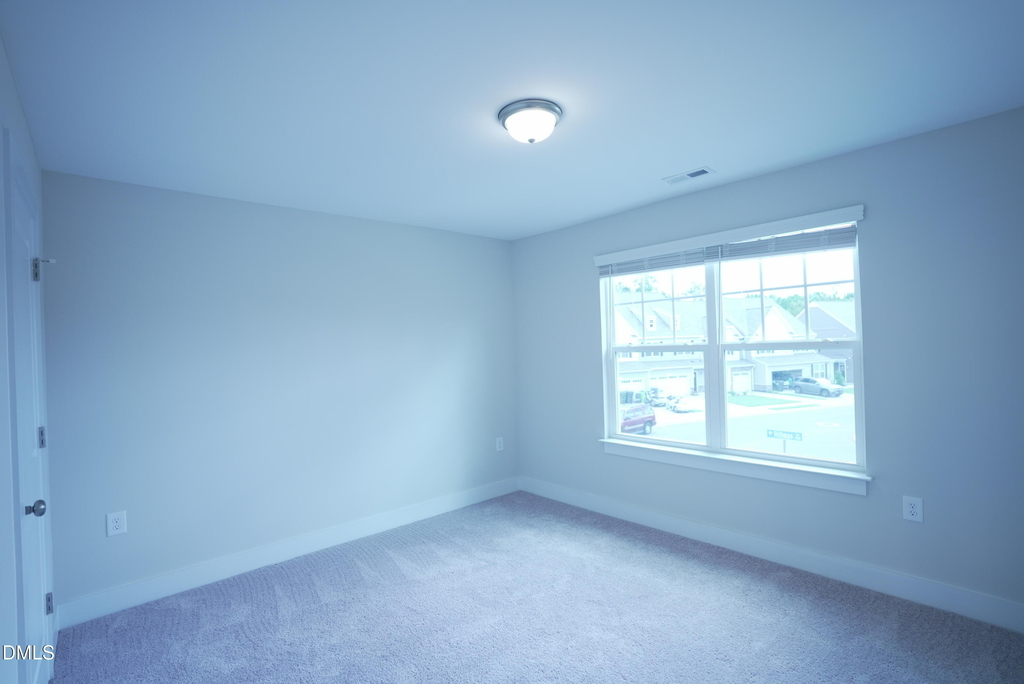919 Hillman Lane - Photo 42
