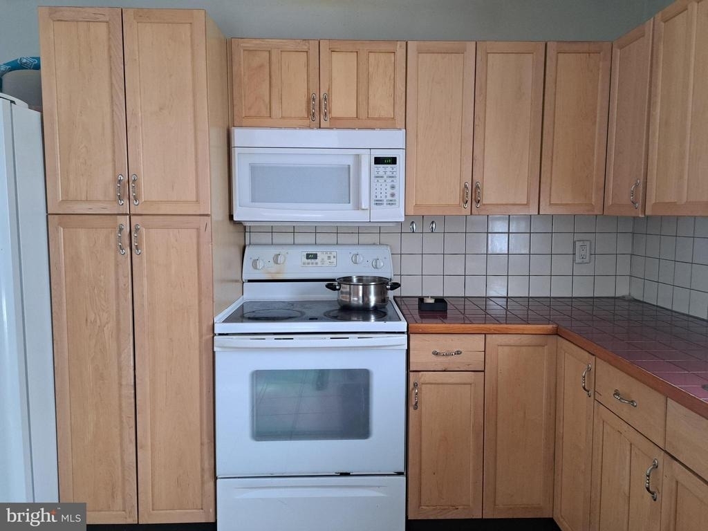 34798 W Mint Place - Photo 19