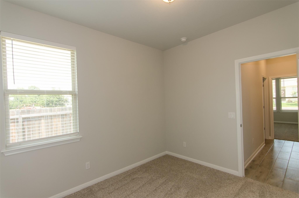 905 Olive Creek Dr - Photo 17