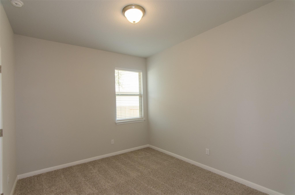 905 Olive Creek Dr - Photo 19