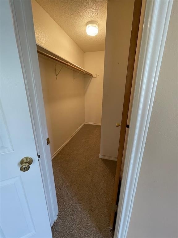 11509 Sombrero Dr - Photo 21
