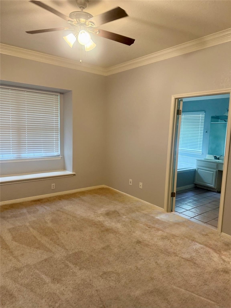 3507 Rip Ford Dr - Photo 14