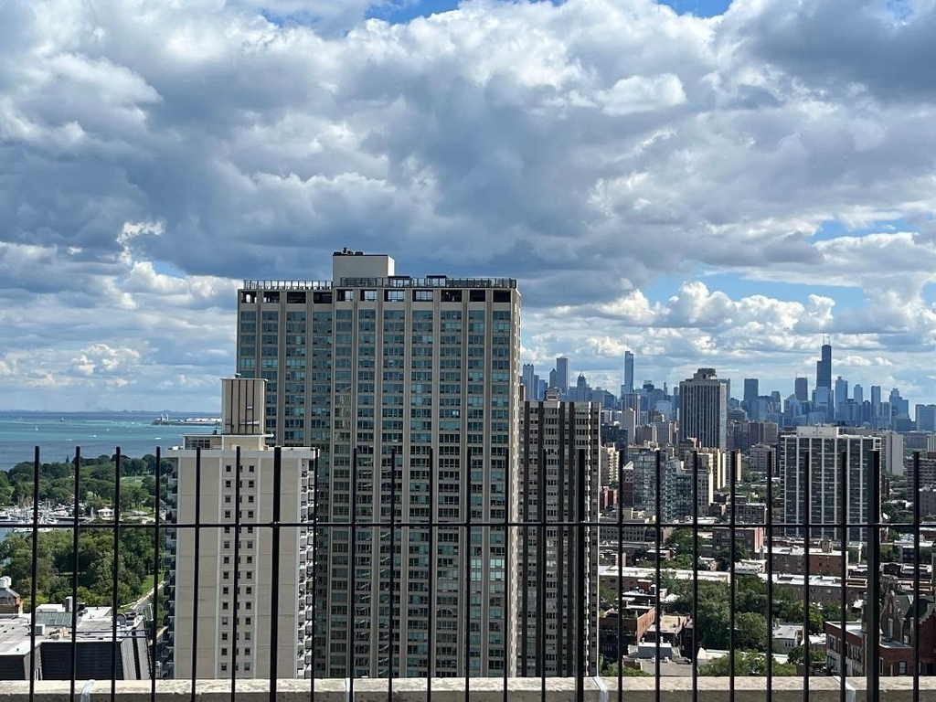 3550 N Lake Shore Drive - Photo 26