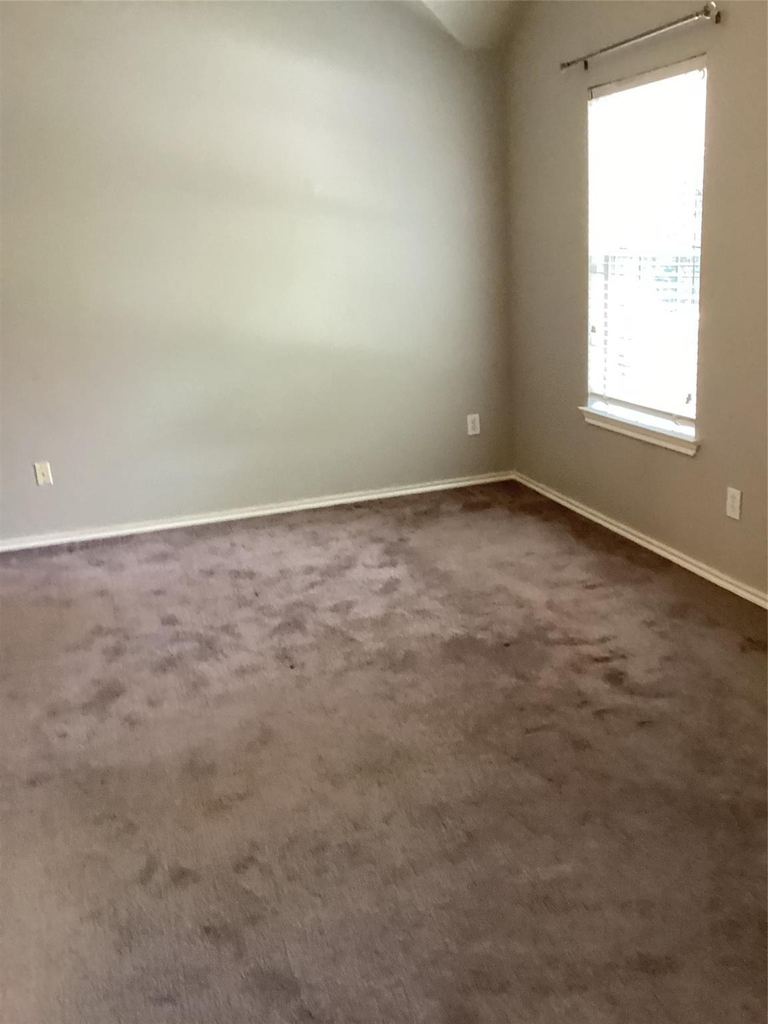 46 Wineberry Place - Photo 19