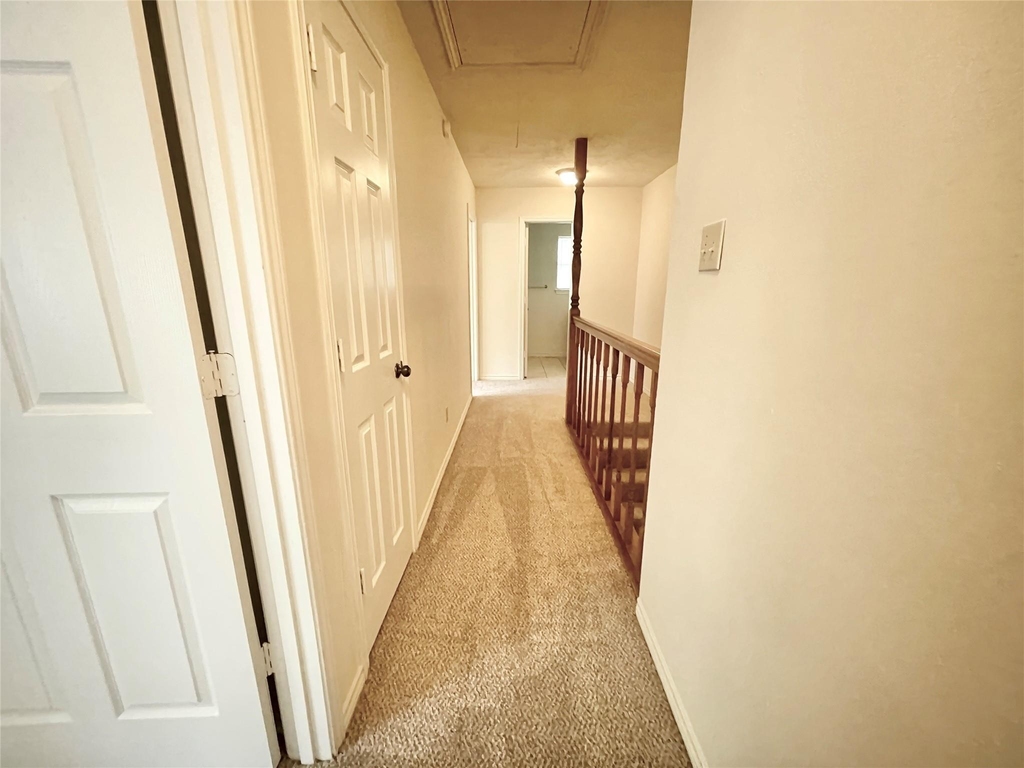 12943 Lemur Lane - Photo 14