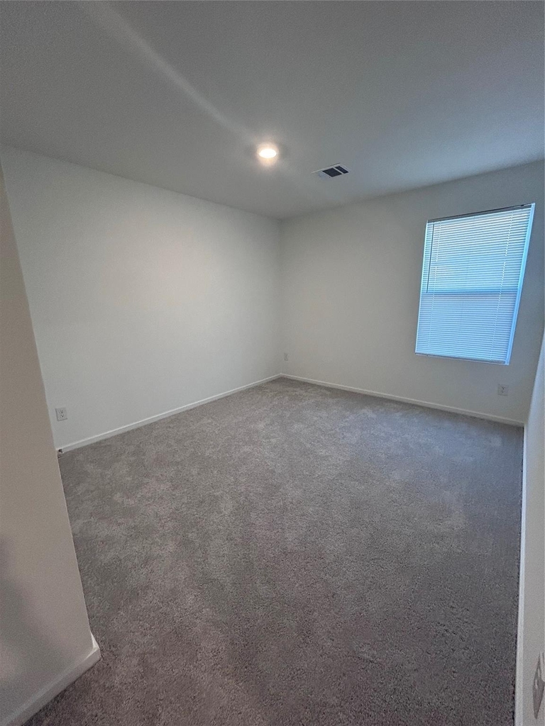 25721 John Wayne Road - Photo 14