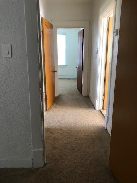 20 Miriam Street - Photo 11