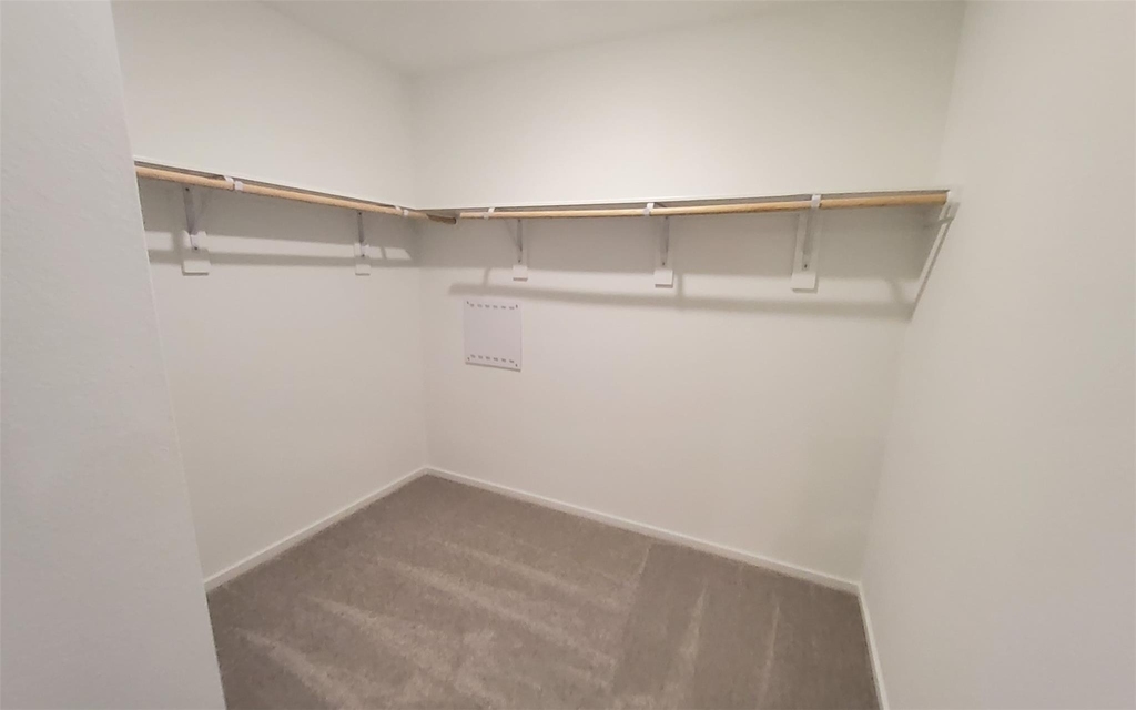 26810 Scarlet Willow Drive - Photo 15