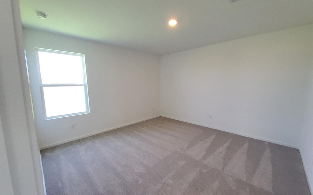 26810 Scarlet Willow Drive - Photo 18