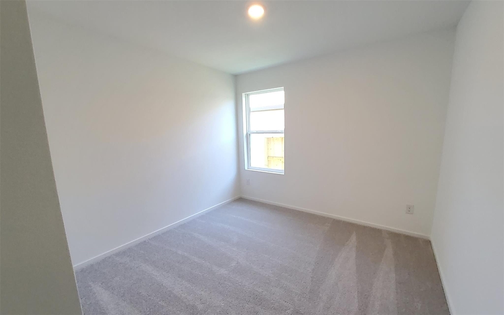26810 Scarlet Willow Drive - Photo 11