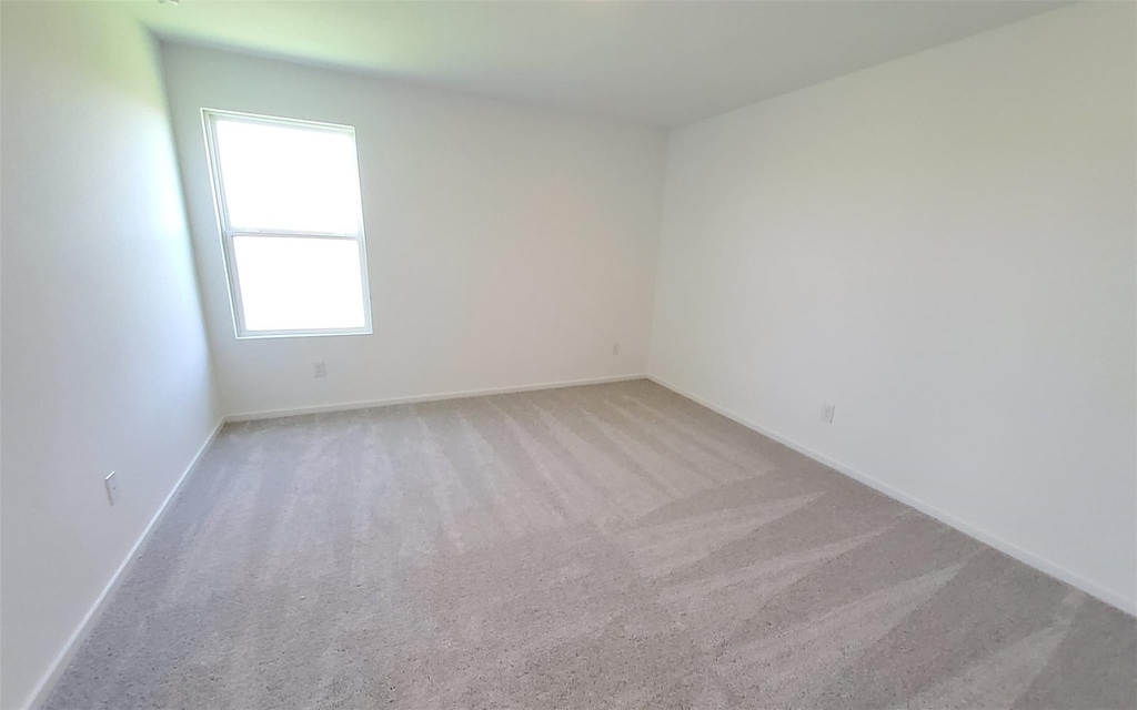 26810 Scarlet Willow Drive - Photo 17