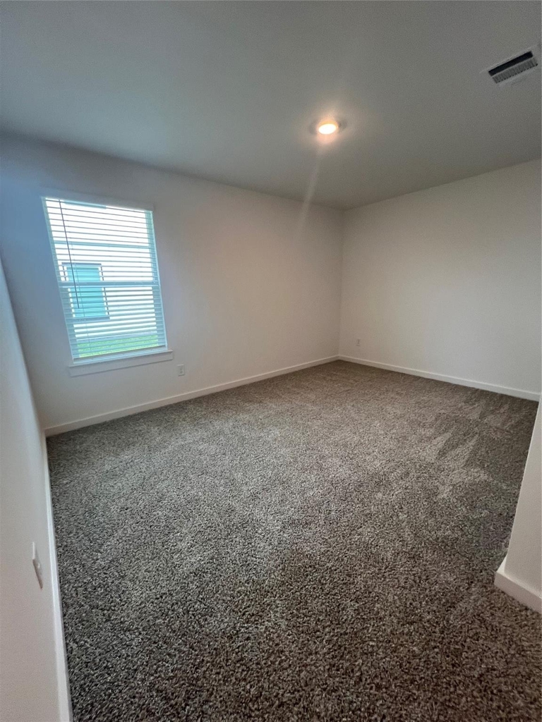 6324 Amberose Peak Lane - Photo 8
