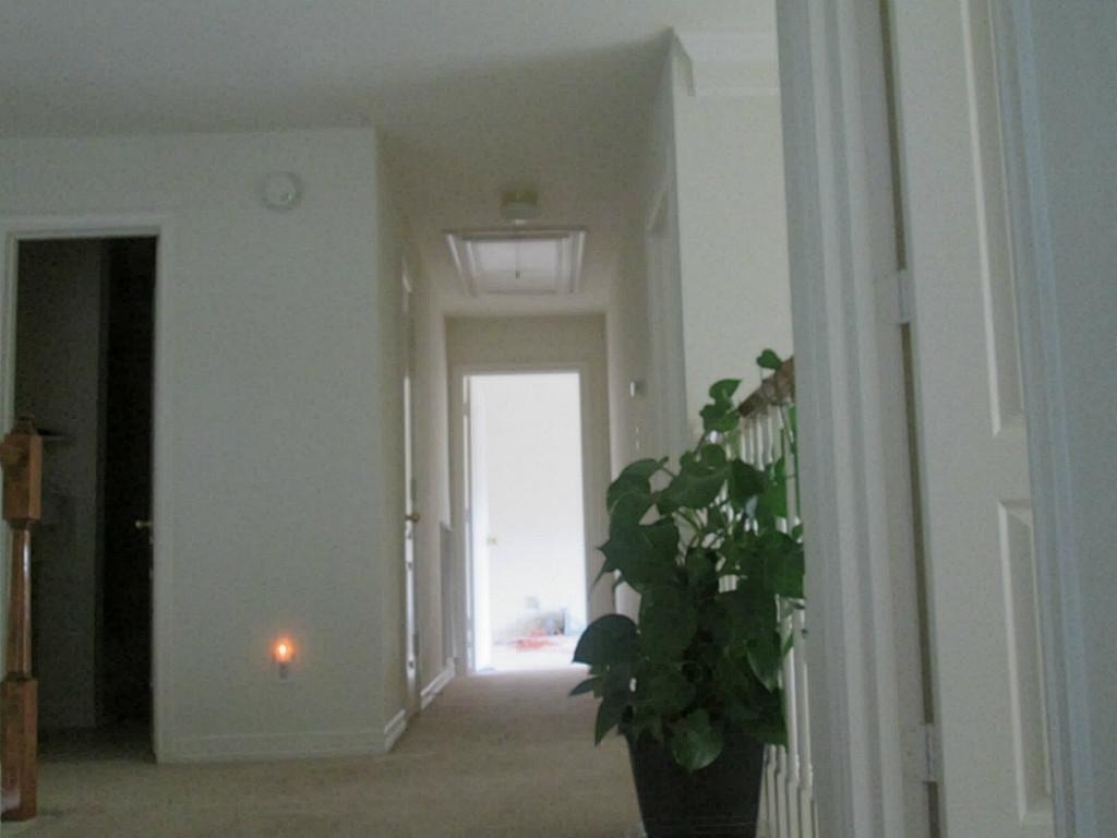 4014 Reinald Road - Photo 3