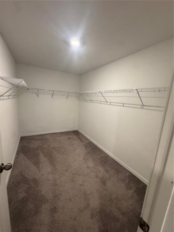 5415 Amaryllis Garden Street - Photo 23