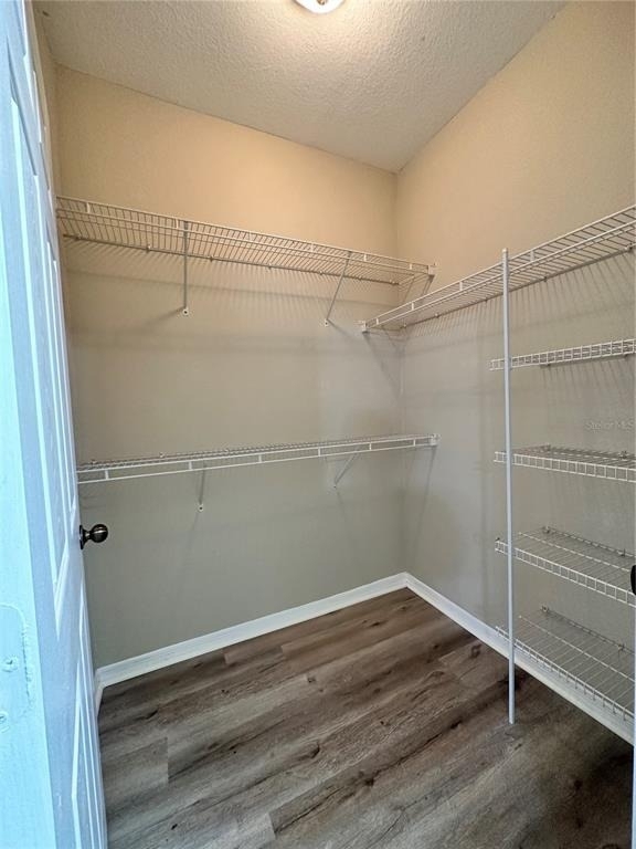 10023 Courtney Palms Boulevard - Photo 11