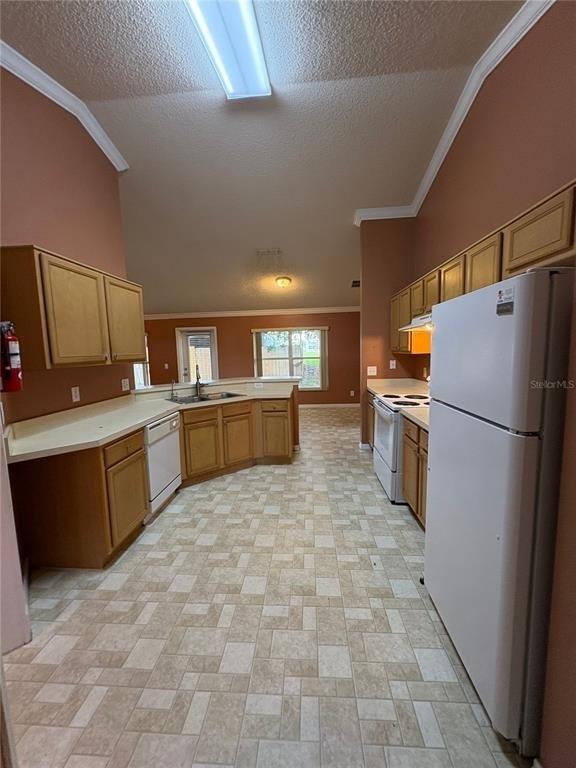104 Herring Lane - Photo 5
