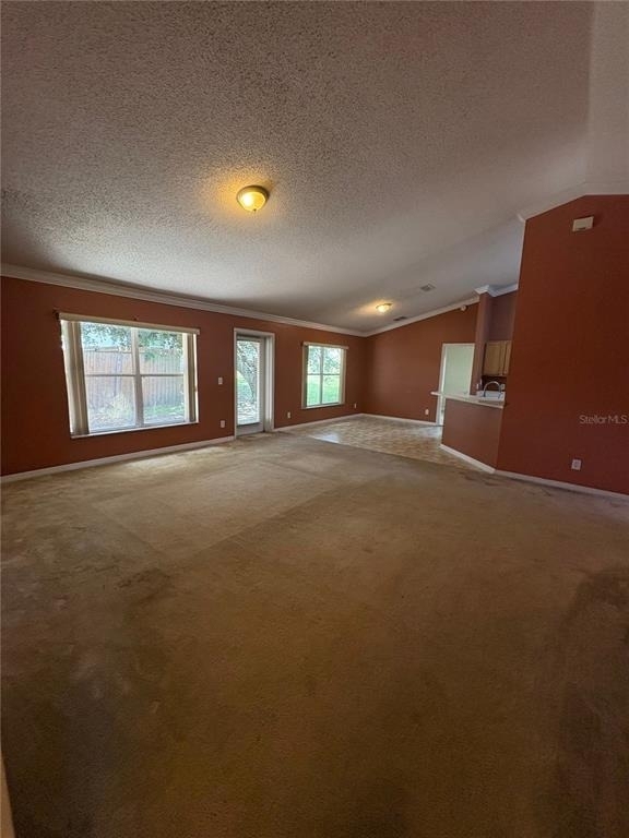 104 Herring Lane - Photo 4