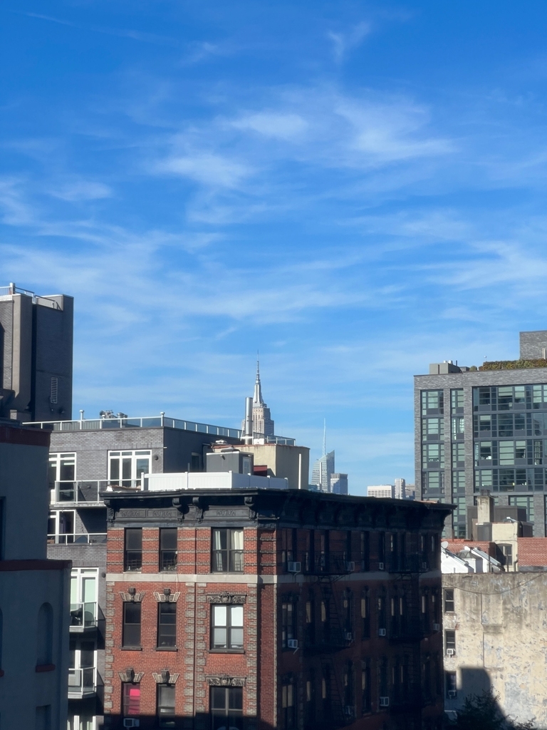 Ridge Street - Photo 5