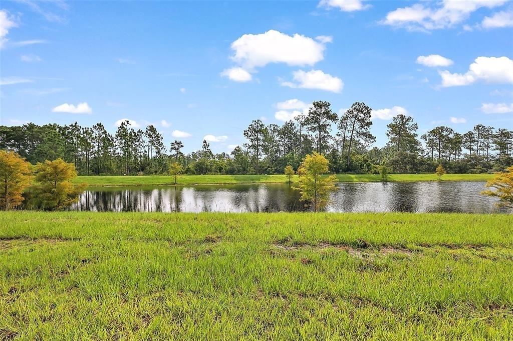 3933 Duval Court - Photo 43